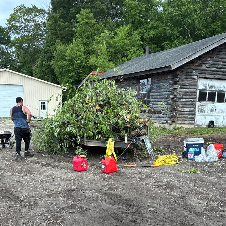 seasonal-cleanup