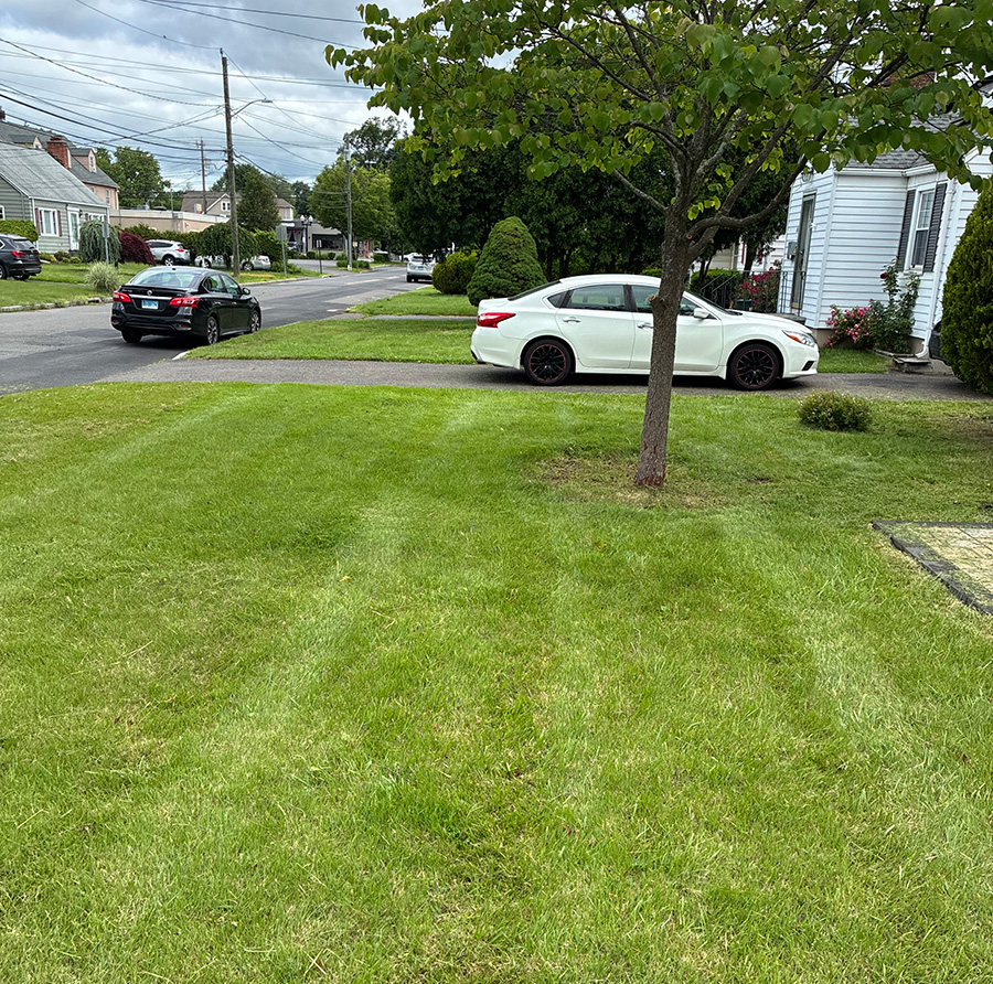 yard6